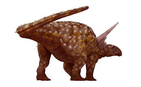 Sauropelta Armor
