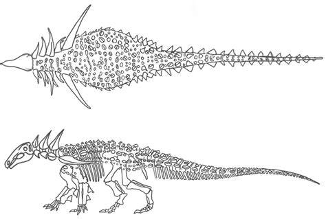 Sauropelta Limbs