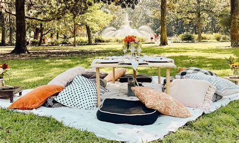 Savannah picnic