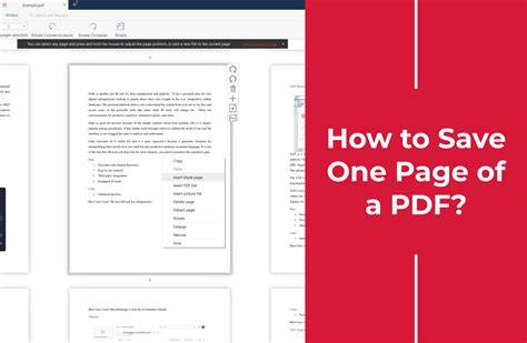 Save the PDF