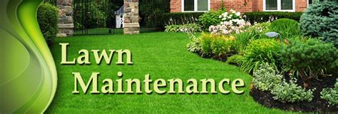 Saves Time and Money with a Professional Lawn Care Dacula