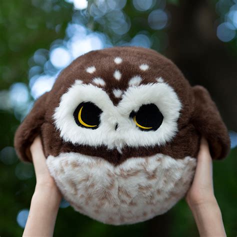 Saw-Whet Owl Stuffed Animal