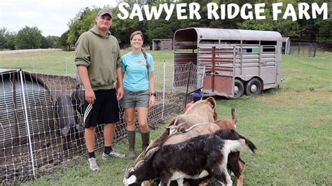 Sawyer Ridge Farm