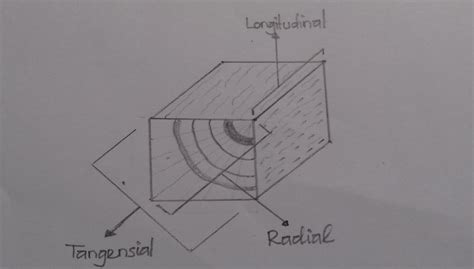 Sayatan Pada Permukaan Kayu