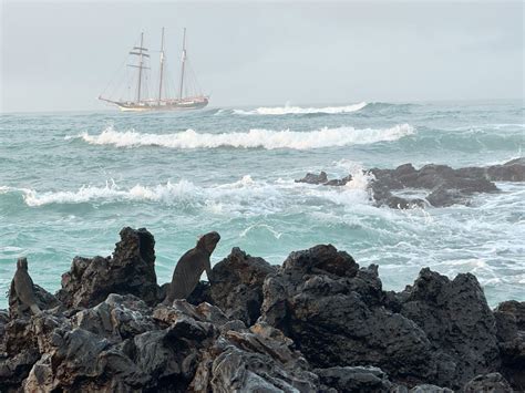 Saying Goodbye Galapagos