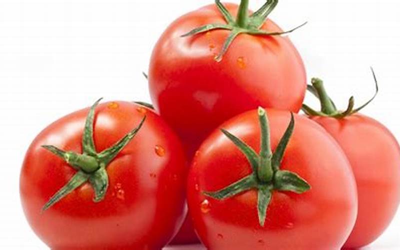 Sayur Tomat