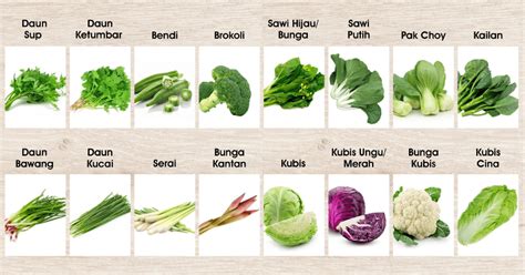 Sayuran Non-Starch diet