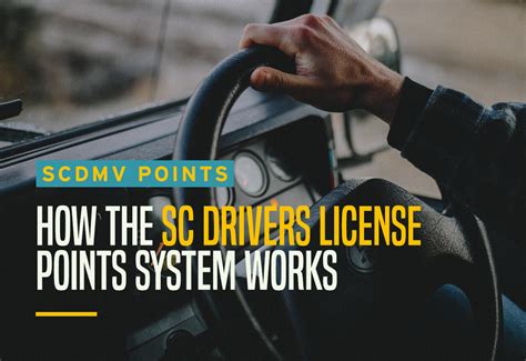 Sc Driver's License Point System
