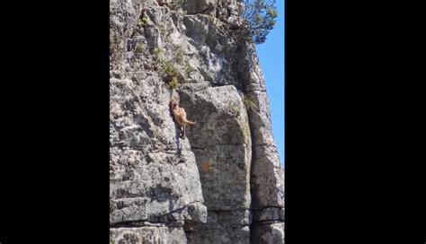 Scaling Table Mountain