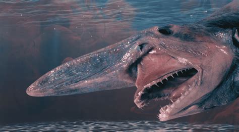 Scariest Animals Found In The Ocean