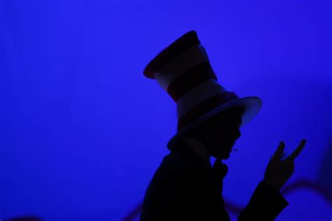 Scary Cat In The Hat