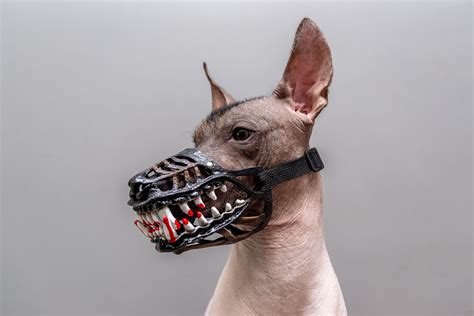 Scary Dog Muzzle