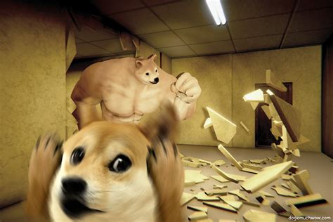 Scary Doge