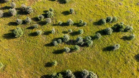 Scenery from Above Alentejo