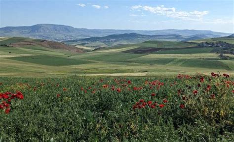 Scenic Algerian Countryside