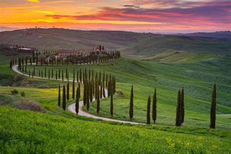 Scenic Drive Tuscany
