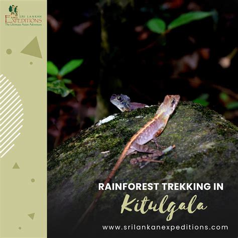 Scenic Route to Kitulgala