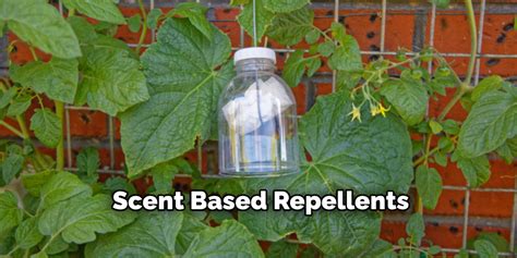 Scent-Based Repellents