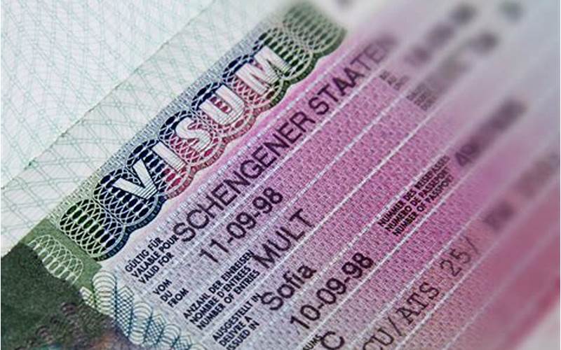 Schengen Visa Deportation