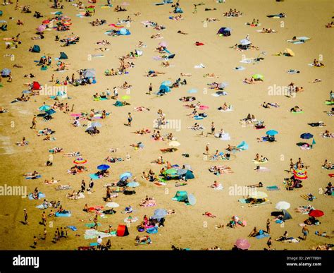 Scheveningen Beach Crowds