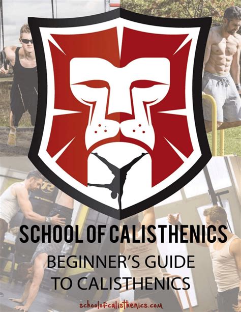 Schoolofcalisthenics