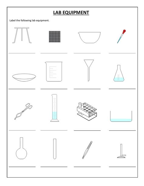 Science Lab Equipment Worksheet