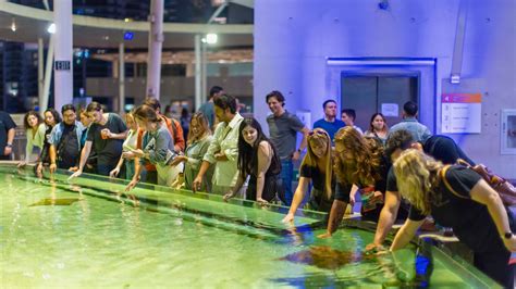 Science and Nature Unleashed