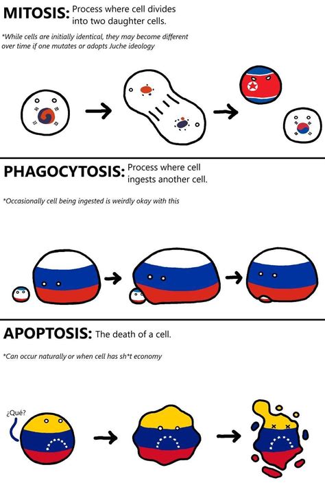 Science and history combine