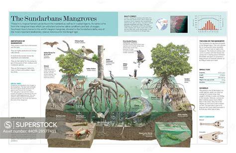 Scientific Research and Discoveries
