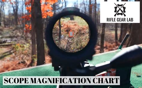Scope Magnification Distance Chart