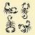 Scorpion Tribal Tattoo Designs