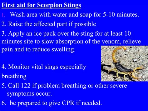 Scorpion Sting First Aid: Quick Relief & Safety