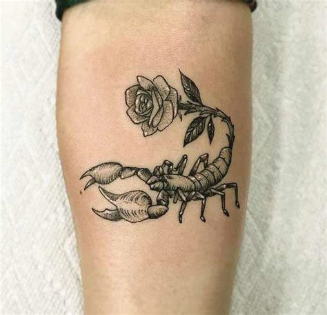 Scorpion Tattoos For Females