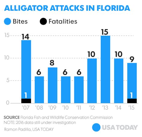 Scort Aligator Outbreak Multiple Attacks Reported in Florida!
