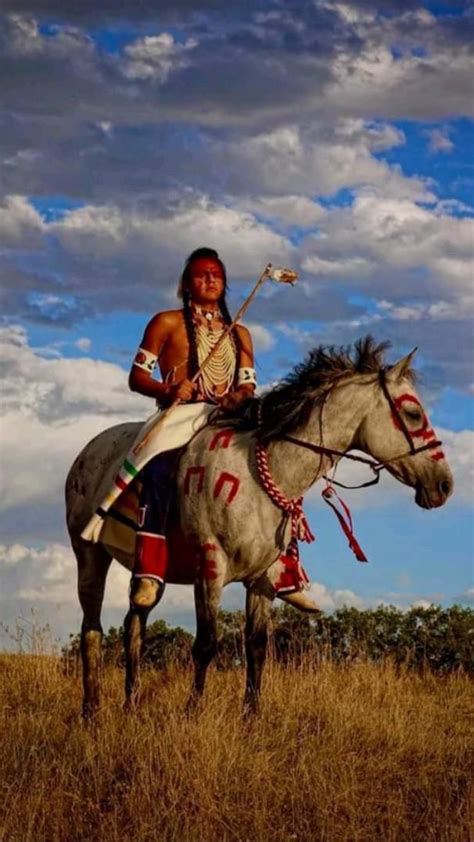 Scouting Native Foods