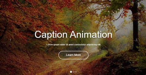 Screen Captures and Snippets