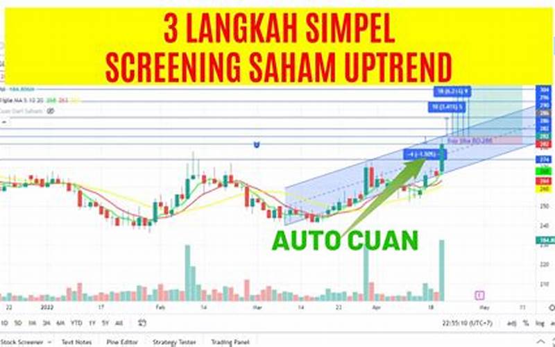 Screener Saham Tradingview Pro Gratis