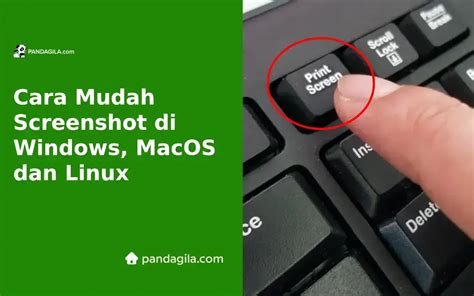 Screenshot Layar Penuh Di Linux