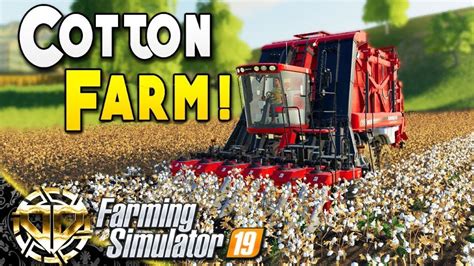 Script for Cotton Picking Simulator