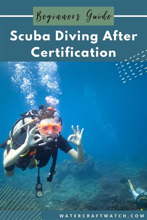 Scuba Beginner Success