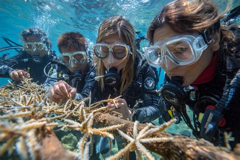 Scuba Diving Education