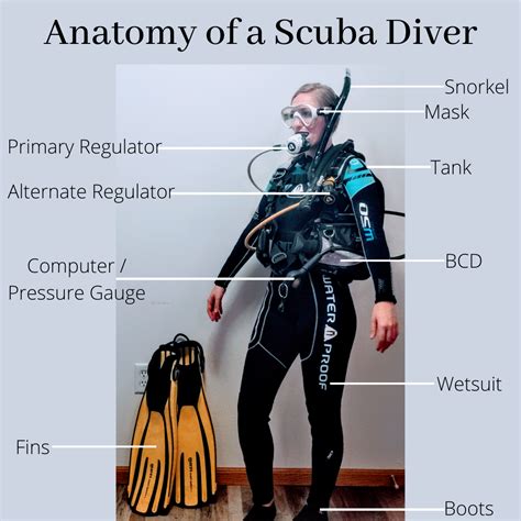 Scuba Diving Explanation