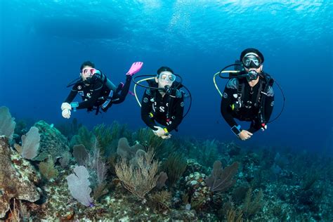Scuba Diving Groups
