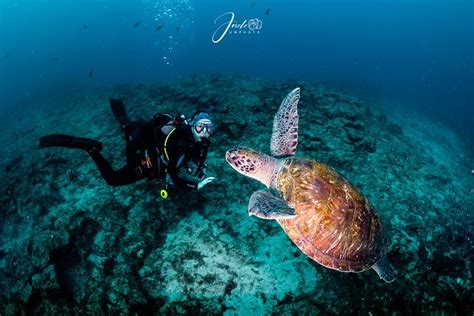 Scuba Diving Lessons Tenerife