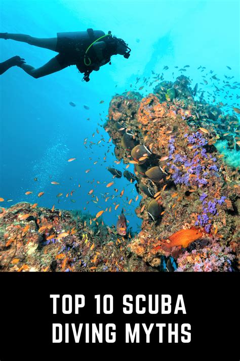 Scuba Diving Myths
