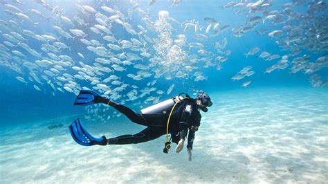 Scuba Diving Perspective