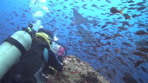 Scuba Diving Santa Cruz
