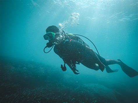 Scuba Diving School