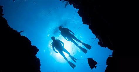 Scuba Diving Verdict