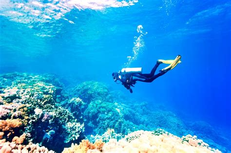 Scuba Diving in Bali